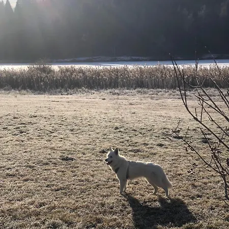 아파트 Haus Norea, 65