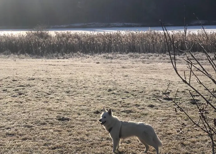 Lägenhet Haus Norea, 65